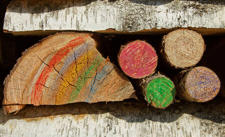 Detail of abstract color firewood.