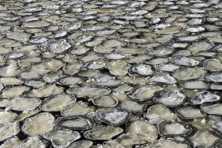 Ice sludges on a water surface.の写真素材
