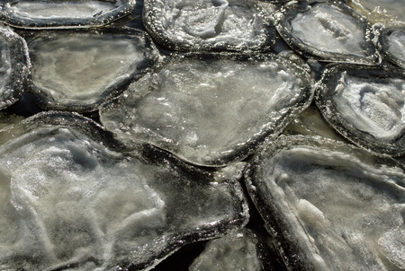 Ice sludges on a water surface.の写真素材