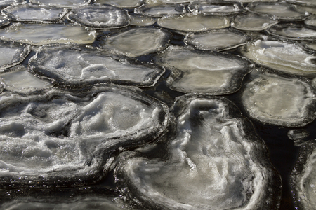 Ring ice on the water surface.
