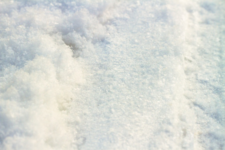 Detail of snow background in a winter.