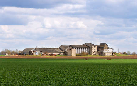 Natural rural landscape field with farm.の写真素材