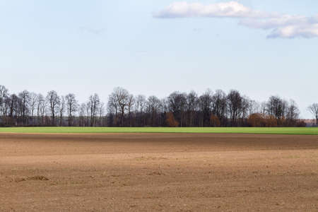 Landscape in a spring with plowed field.