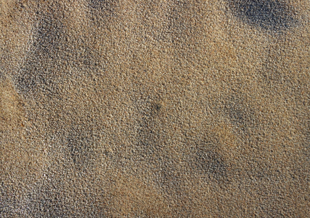Wet surface of sand at the sea.の写真素材