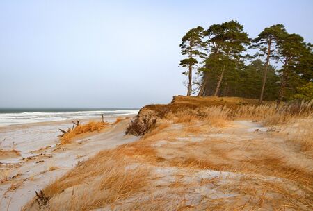 Dune at the Baltic sea.