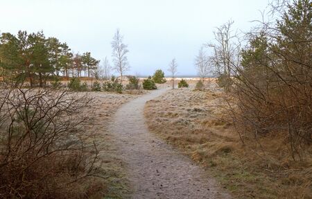 Path to the Baltic sea.
