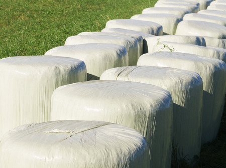 Bales of silage on a field.の写真素材
