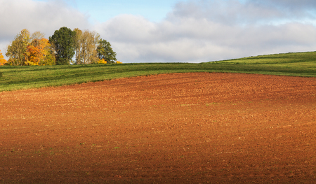 Country landscape with plowed field.の写真素材