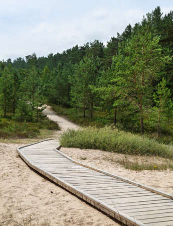 View to the sea coastline.の写真素材