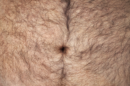Belly of a man with hair.の写真素材