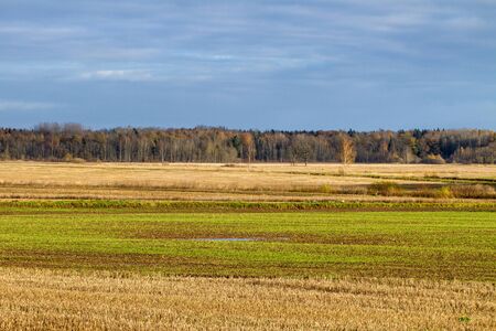 View of autumn field.の写真素材