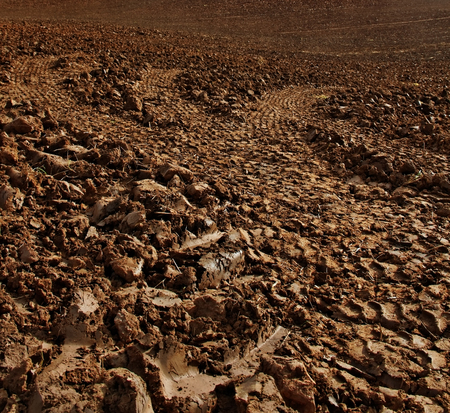 Brown soil of an agricultural field.