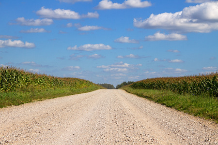 Empty gravel country road between field of corn.の写真素材