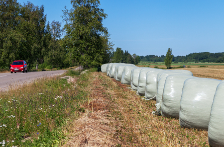Silage wrapped in a white membrane, food for cows.