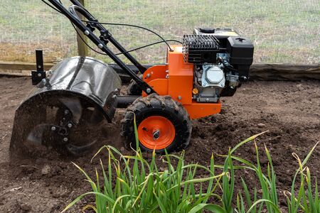 Worker plower earth by motorblock in a spring time.