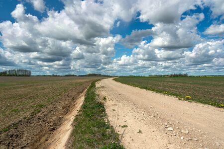 Deep dutch on the country road.の写真素材
