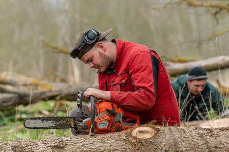 LATVIA - APRIL 30: Latvia is a country in the Baltic region of Northern Europe. The forest industry has strategic importance to national economy. Men work by chainsaw on 3 May 2020, Latvia.のeditorial素材