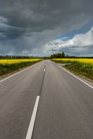 Asphalt road beatween fields.