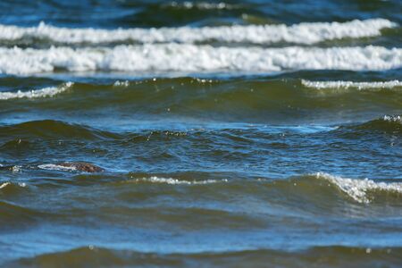View to beautiful wavy sea.