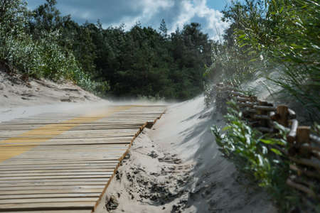 View to the dune path in a windy day.の写真素材