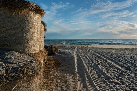 View to coast of Baltic sea with  wind protection hay wall.の写真素材