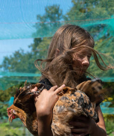 Rural girl with brown hen.の写真素材