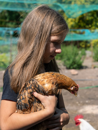 Rural girl with brown hen.の写真素材
