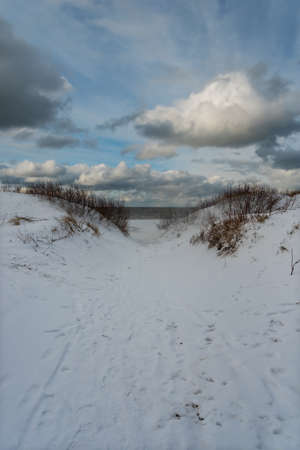 View to the coast of Baltic sea.の写真素材