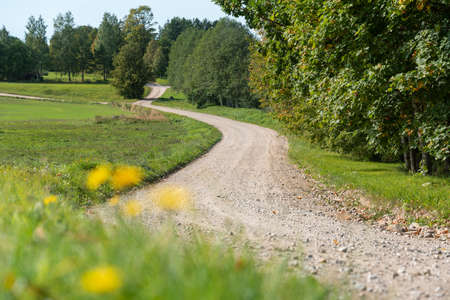 View to the curve country road.の写真素材