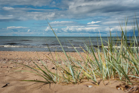 View to coast of Baltic sea.の写真素材