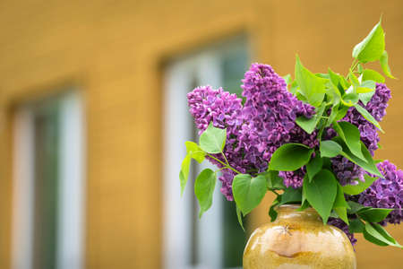 View to house and blooming lilac.の写真素材