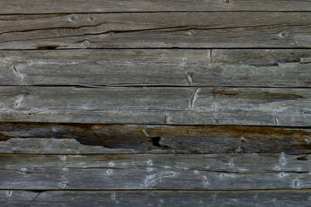 Background of old grey planks.の写真素材