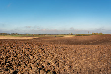 View of the countryside field.の写真素材