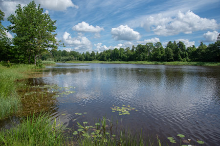 View of the beautiful clear water lake.の写真素材