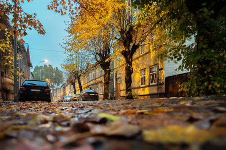 Night view of a street in a small town.の写真素材