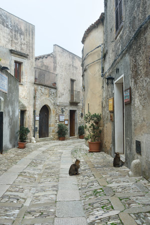 ITALY, ERICE - 21 OCTOBER: Erice is a historic town and comune in the province of Trapani. View of the foggy narrow stone lane in Erice with a cats on Erice 21 Oktober 2022, Sicily, Italy.のeditorial素材