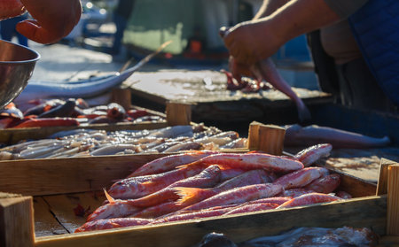 View of the street fish market.の写真素材
