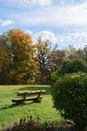 Empty bench in the park in autumn time.の写真素材
