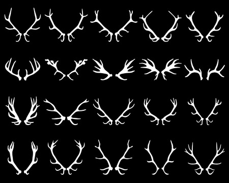 White silhouettes of deer s antlers on black background, vectorのイラスト素材