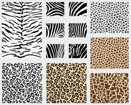 Illustration of detailed different animal skins のイラスト素材