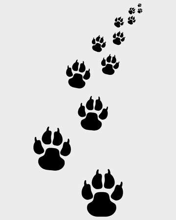 Black footprints of dogs, turn right-vector illustrationのイラスト素材