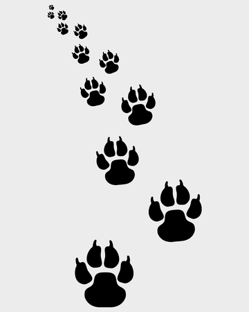 Black footprints of dogs, turn left 2-vector illustrationのイラスト素材