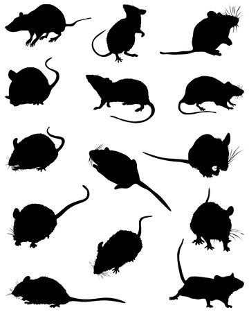 Different black silhouettes of mouses,vectorのイラスト素材
