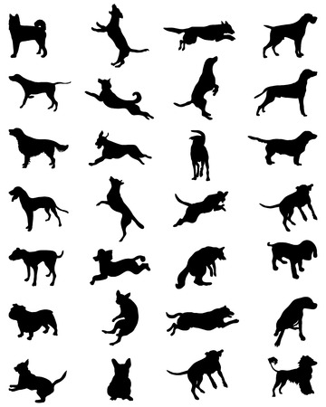 Different black silhouettes of dogs, vectorのイラスト素材
