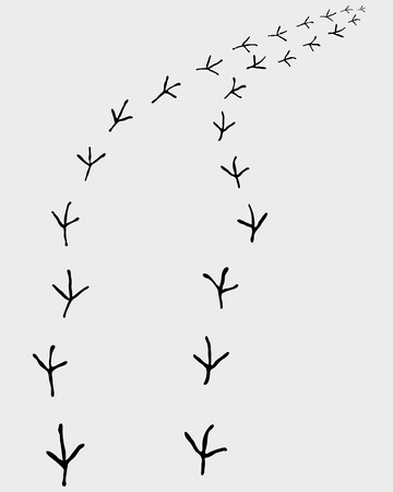 Black trail of birds, turn right, vector illustrationのイラスト素材