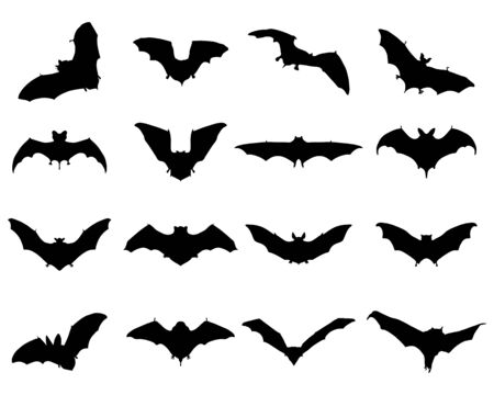 Black silhouettes of different bats, vectorのイラスト素材