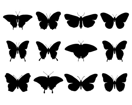 Black silhouettes of different butterflies, vector illustrationのイラスト素材