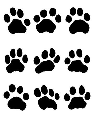 Black print of tiger paw, vectorのイラスト素材