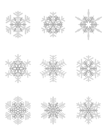 Set of different gray snowflakes, vector illustrationのイラスト素材