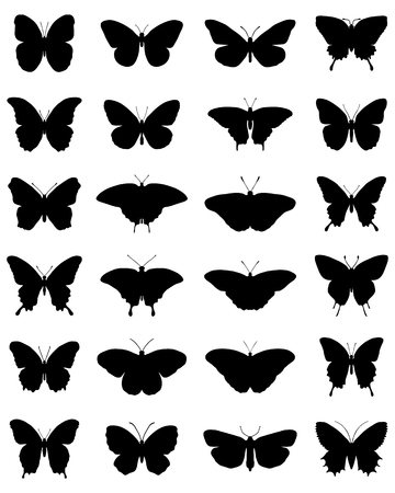 Black silhouettes of butterflies on a white background, vectorのイラスト素材